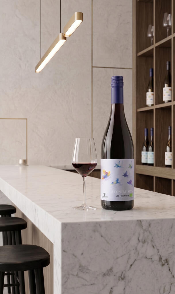 Bouteille A CONTRE SENS vin biologique minervois - Les 4 Complices